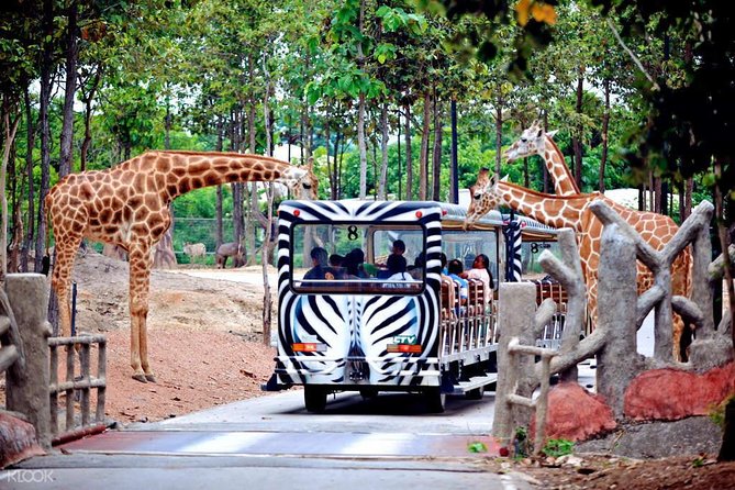 Chiang Mai Night Safari