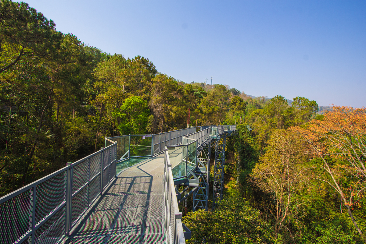 Queen Sirikit Botanic Garden