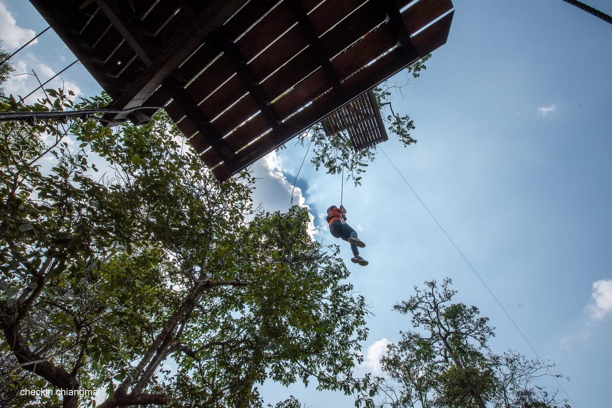 Rainforest Canopy Zipline